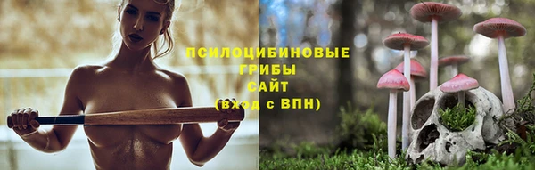 спиды Армянск