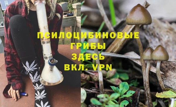 спиды Армянск