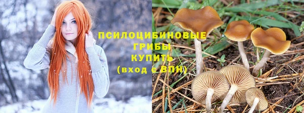 2c-b Арсеньев
