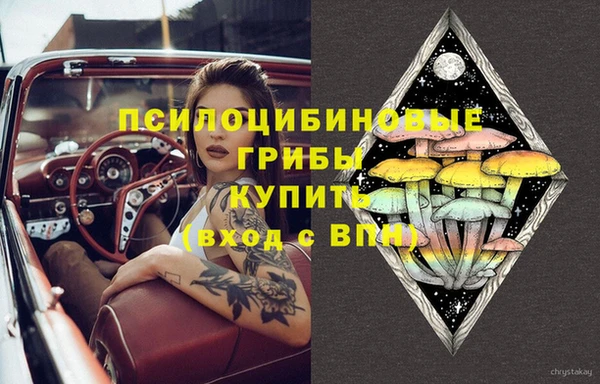 2c-b Арсеньев