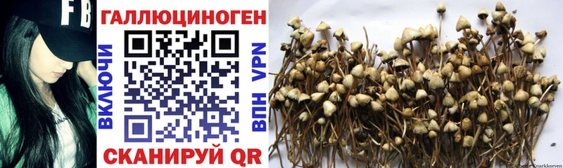 Галлюциногенные грибы мицелий  Калязин 